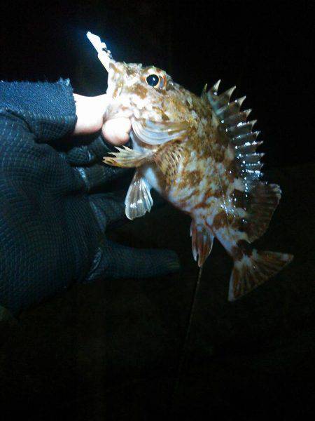 風が吹いたり止んだり
